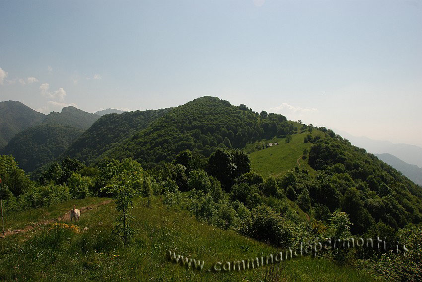 09 04159 Dal Canto basso - sullo sfondo il Monte Cavallo.JPG